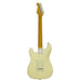 Aria Pro II STG-62 White Back