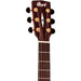 Cort GA-PF Grand Regal Bevel Cut Pao Ferro Acoustic-Electric Guitar Natural Satin. Headstock View